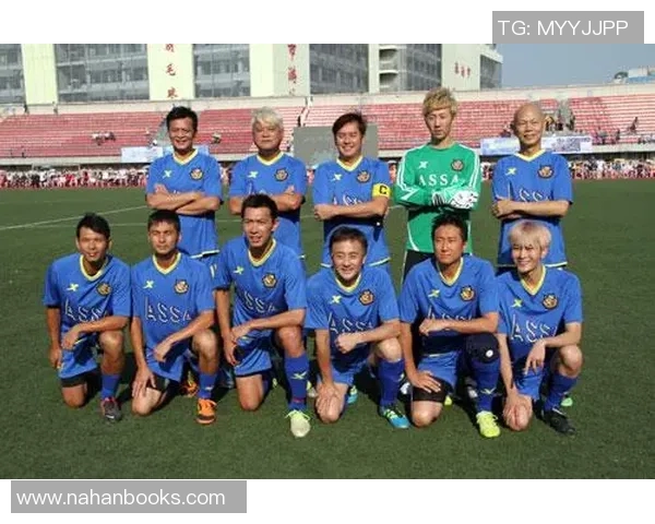 南阳省十大足球明星球队全景解析与实力对比